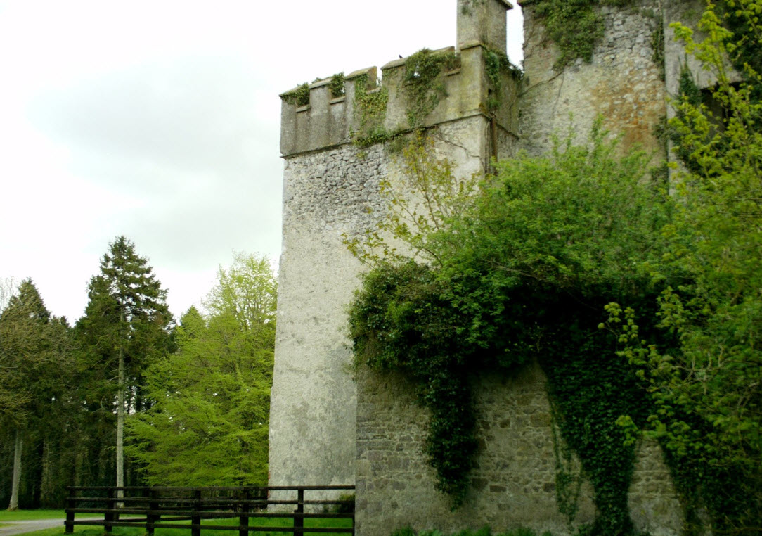 Donadea Castle, Ireland